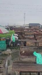Land for sale Bogije Off Lekki-Epe Expressway Ajah Lagos