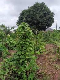 Land for sale Off Agidingbi Road Ikeja Lagos