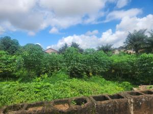 Land for sale Oloruntedo Estate Near Akuru Off Akala Express Oluyole Extension Ibadan Akala Express Ibadan Oyo