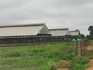 Commercial Property for sale Location Airport Road, Behind Deen Oil, Close To Nda Igabi Kaduna