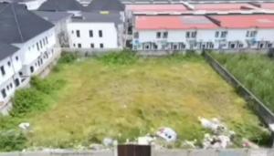 Land for sale Royal Pine Estate, Orchid Road, chevron Lekki Lagos