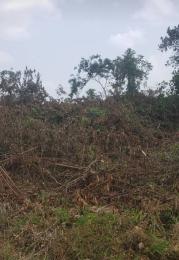 Land for sale Renecon Road, Macaulay Igbogbo Ikorodu Lagos