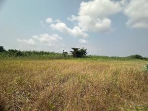 Land for sale Pinnock Beach Estate, Osapa london Lekki Lagos