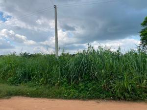 Land for sale Alagbaka Extension Akure Ondo