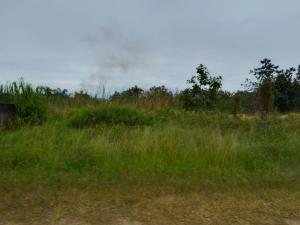 Land for sale Sangotedo Ajah Lagos