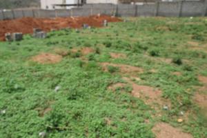 Land for sale Maitama 2 Maitama Abuja