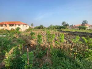 Land for sale Close To Deeper Life, Oba Ile, Akure Akure Ondo