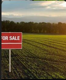 Land for sale Old Ikoyi Ikoyi Lagos