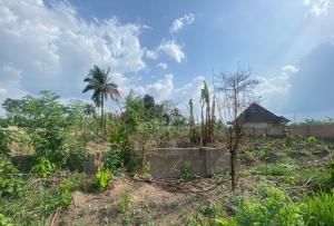 Land for sale Odo Family Layout, Off Palmview Estate Extension, Alagbaka Akure Ondo