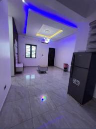 1 bedroom Flat / Apartment for rent Ikate Lekki Lagos