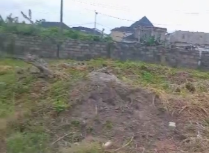 Land for sale Sangotedo Ajah Lagos