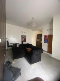 2 bedroom Flat / Apartment for rent Ikate Lekki Lagos