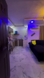 2 bedroom Flat / Apartment for shortlet Ogunlana Surulere Lagos