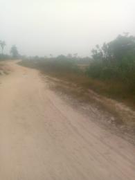 Land for sale Agbowa Ikosi Ikorodu Edidi Lagos Agbowa Ikorodu Lagos