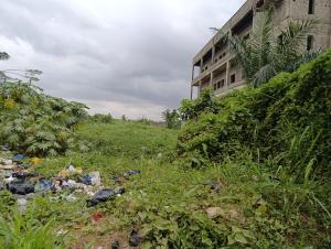 Land for sale Iyana Ipaja Lagos Iyana Ipaja Ipaja Lagos