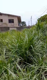 Land for sale Johnson Awe Area Apata Ibadan Oyo