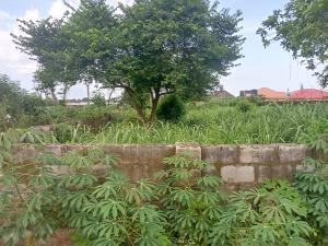 Land for sale Behind Osopadec Oba Ile.. 5 Sec Drive To The Main Road. Akure Ondo