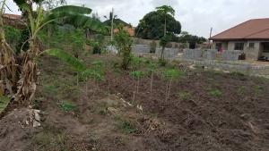 Land for sale Agbofieti Idishin Ibadan Oyo
