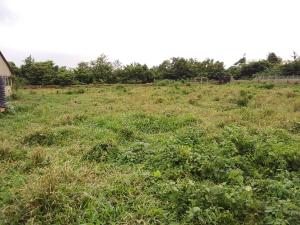 Land for sale Ojooku Village Mitako Off Ajia Off Alakia Mohammed Ibadan Alakia Ibadan Oyo