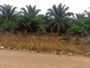 Land for sale Location: Obayantor 2 , Sapele Road, Benin City. Ikpoba - Okha Edo