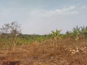 Land for sale Akala Express Ibadan Oyo