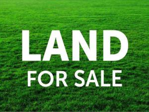 Land for sale Patrick Harbour Mojisola Onikoyi Estate Ikoyi Lagos