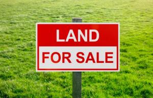 Land for sale Right On Admiralty Way Lekki Phase 1 Lekki Lagos
