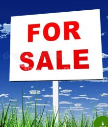 Land for sale (isaac John Str) Ikeja GRA Ikeja Lagos