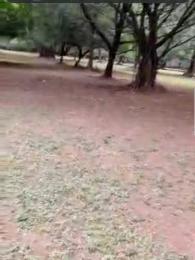 Land for sale Oregon Road Oregun Ikeja Lagos