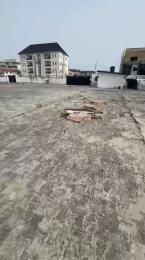 Land for sale Along Lekki Expressway Lekki Lagos