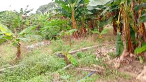 Land for sale Ilara Epe Epe Road Epe Lagos