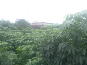 Land for sale Maplewood Estate Oko oba Agege Lagos