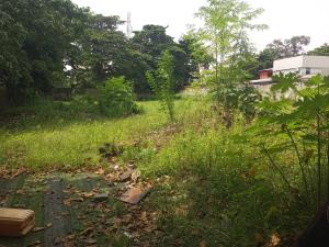 Land for rent Adeola Odeku Victoria Island Lagos