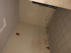 2 bedroom Flat / Apartment for rent Badek Filling Station Area Ayobo Ipaja Lagos
