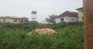 Land for sale Obehi Street (st Peters) Off 2nd Ugbor, Central Edo