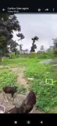 Land for sale Omolayo Akobo Akobo Ibadan Oyo