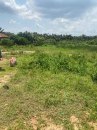 Land for sale Ajogun Isiwo Epe Road Epe Lagos