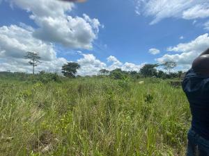 Land for sale Mowe Ofada Ketu Lagos