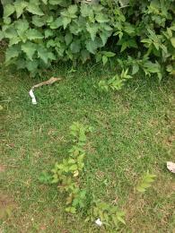3 bedroom Land for sale Sabon Lugbe Lugbe Abuja
