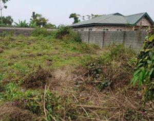 Land for sale Near Oriwu College Via Oluodo Event Centre Hall Ikorodu Garage Ikorodu Lagos