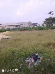 Land for sale Skymall Monastery road Sangotedo Lagos