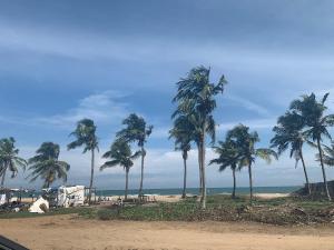 Land for sale Eleko Beach Eleko Ibeju-Lekki Lagos