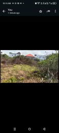 Land for sale Monastery Road, Sangotedo, Shoprite, Ajah, Lagos. Monastery road Sangotedo Lagos