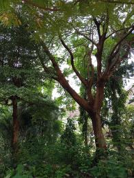 Land for sale Opic Estate, Area8, Agbara-Igbesa Ogun