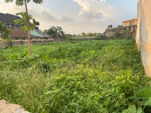 Land for sale Umuodu Mbieri Spibat Area, Owerri Imo