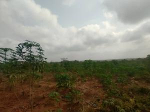 Land for sale Ido Eruwa Road Ido Oyo