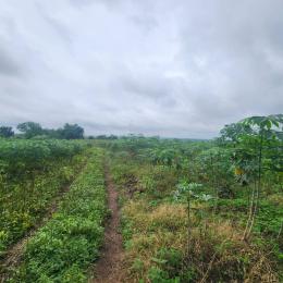 Land for sale Elere, Ido Oyo