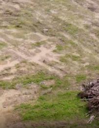 Land for sale Ibeju-Lekki Lagos