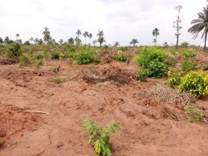 Land for sale 300sqm Dry Portable Land Behind Novare Mall Monastery road Sangotedo Lagos