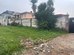Land for sale Chevy Castle Estate chevron Lekki Lagos